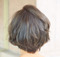 Airy texture hair be covered less volume hair. back