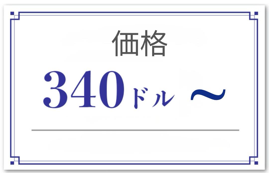 価格 340ドル ~ 
