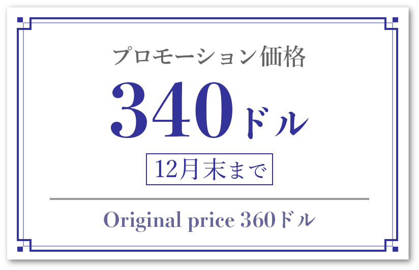 プロモーション価格 340ドル 12月末まで Original price 360ドル